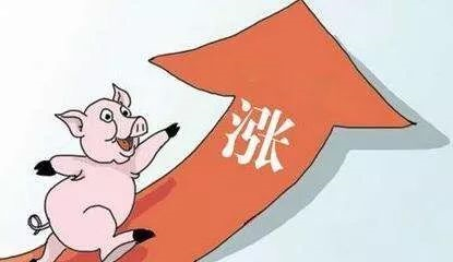豬肉（ròu）漲價吃不（bú）起，你竟然要怨環保？